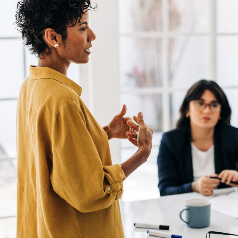 woman speaking to group in a board room setting